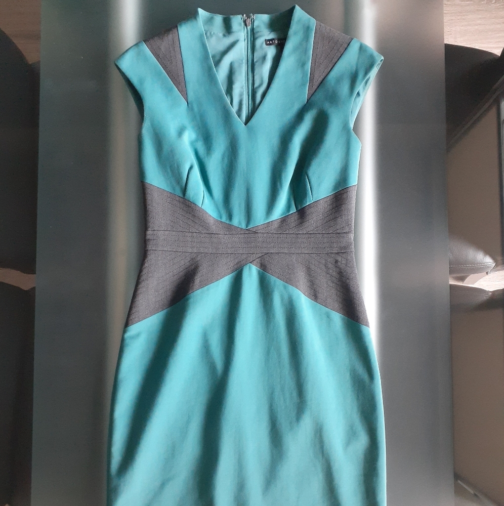 Antonio Melani dress